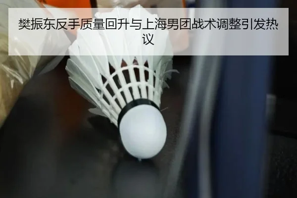 樊振东反手质量回升与上海男团战术调整引发热议